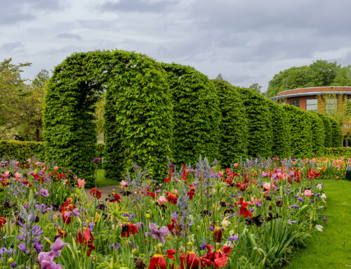 Do Acoustic Fences Work in Gardens and Domestic Settings?